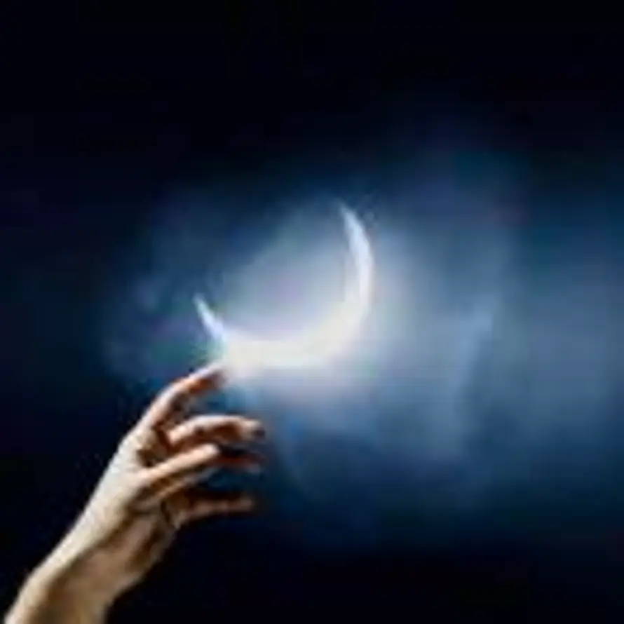 迷雾森林的叶影的头像