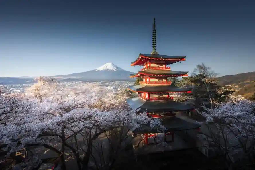 4k壁纸壁纸 - 日本 - 晴空 - 樱花「哲风壁纸」