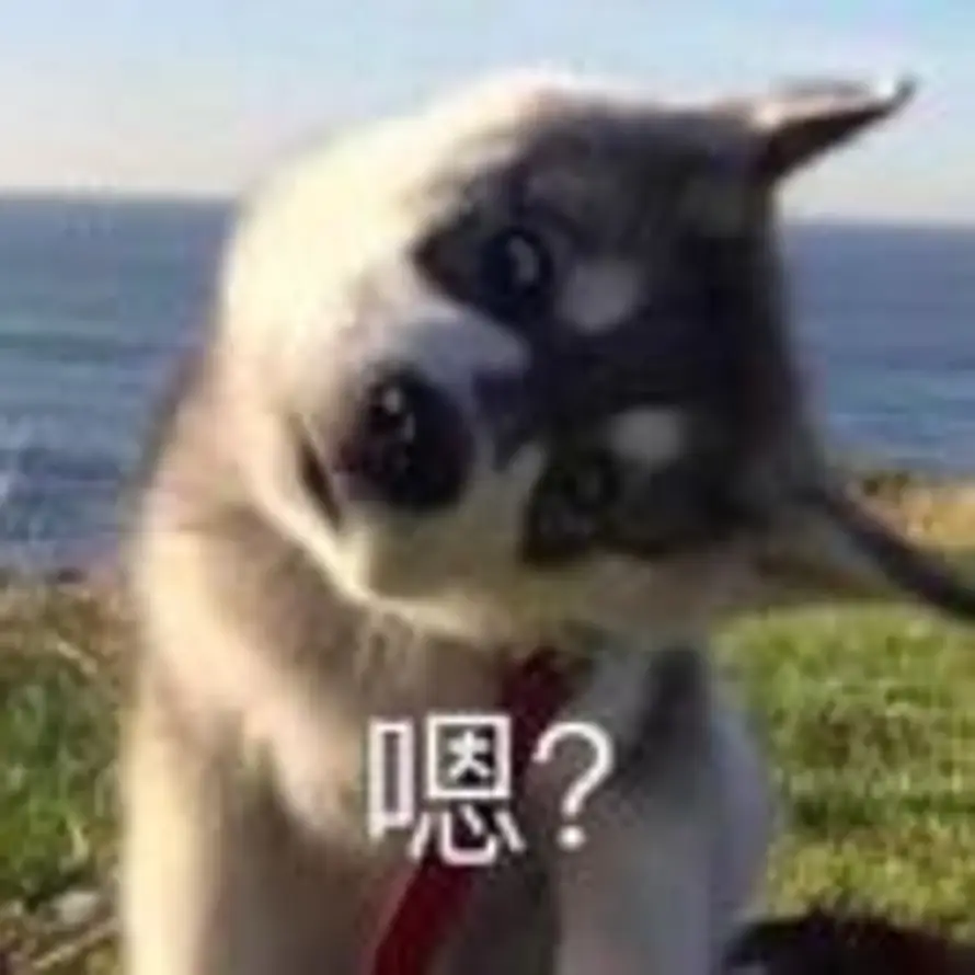 Fern的头像