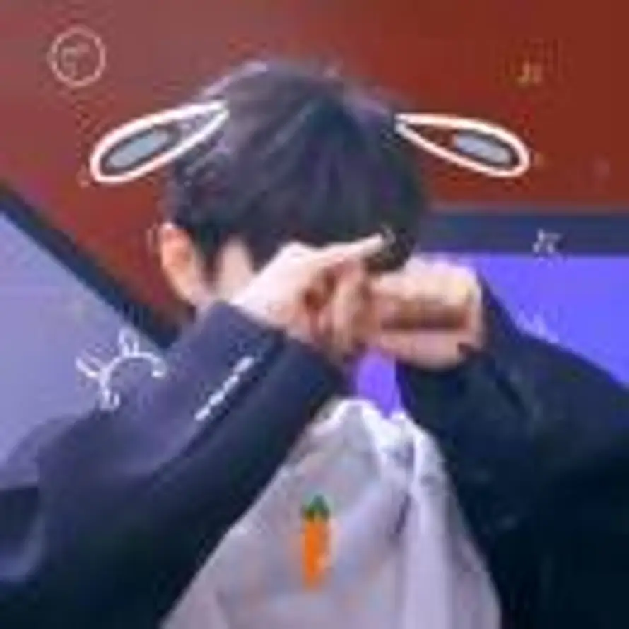 呆桃还是菠萝的头像