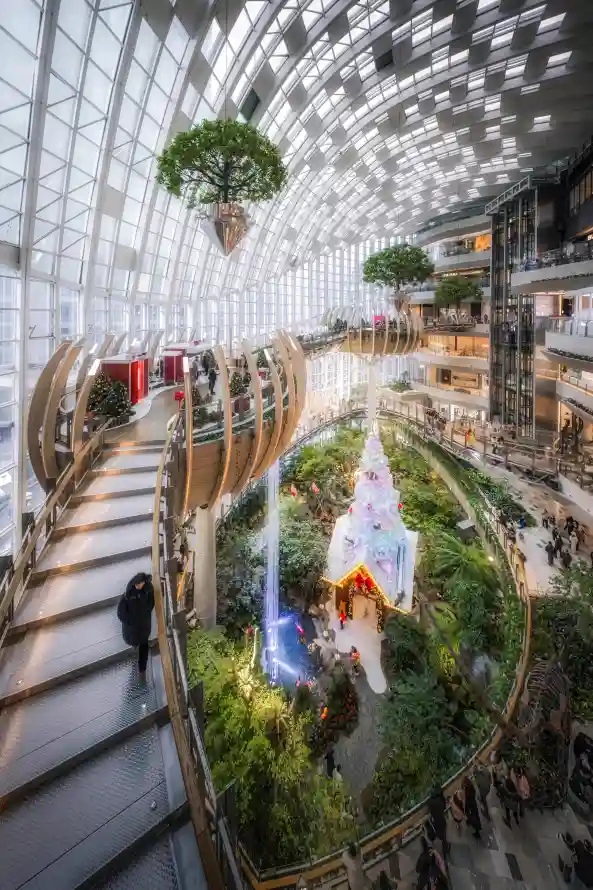 4k手机壁纸 - 壁纸 - 热门壁纸 - wallpaper「哲风壁纸」