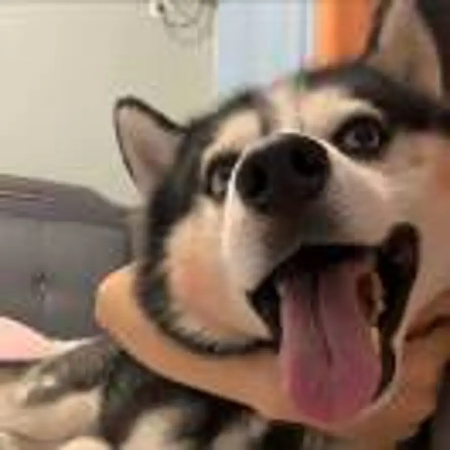 。。。的头像