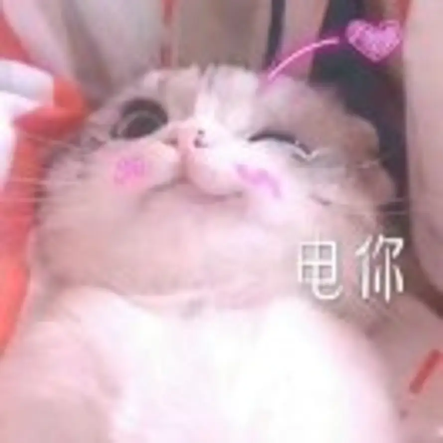 红枸杞 的头像