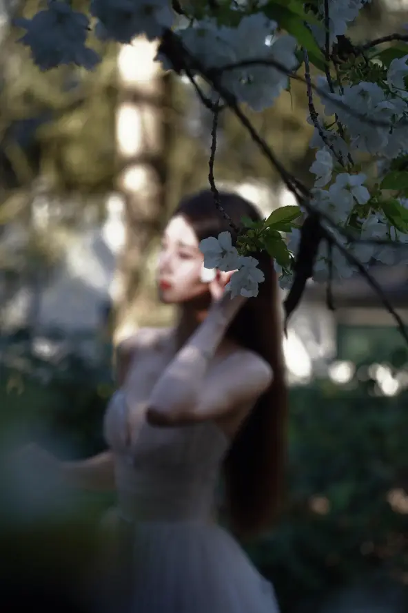 4k壁纸壁纸 - 户外 - 手机 - 森系「哲风壁纸」