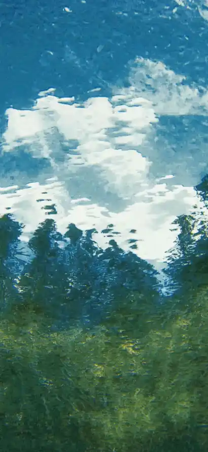 4k晴空壁纸 - 树林 - 油画 - 白云「哲风壁纸」