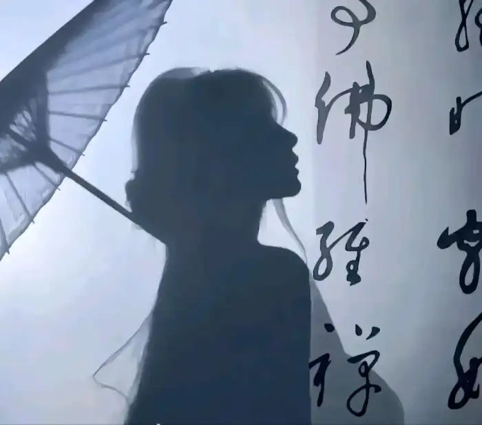 云の风的头像