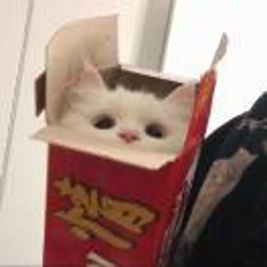 月亮邮递员.的头像