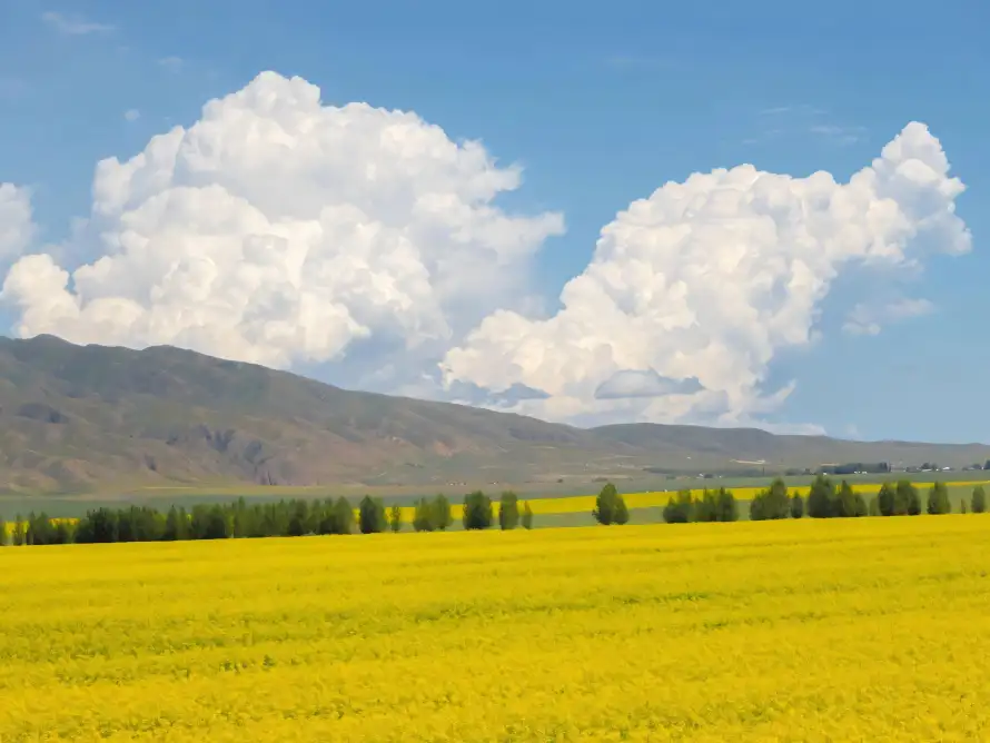 4k原野壁纸 - 山脉 - 晴天 - 树林「哲风壁纸」