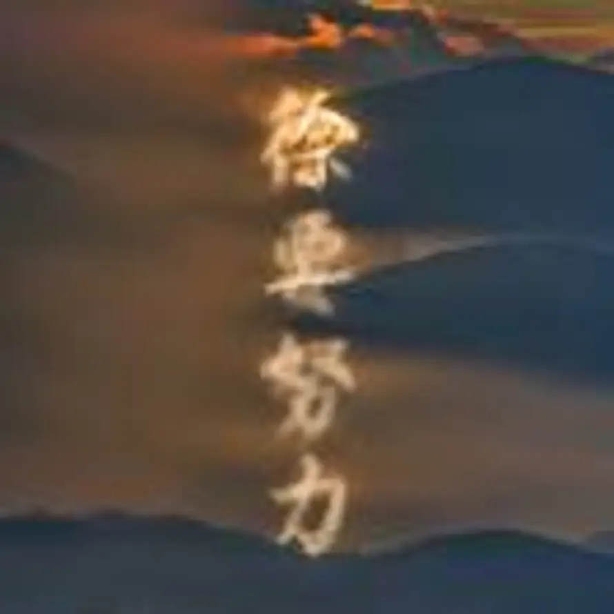 XU的头像