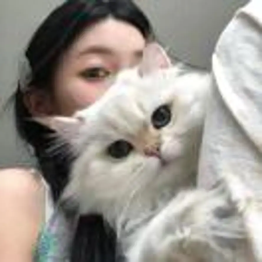 🐨的头像