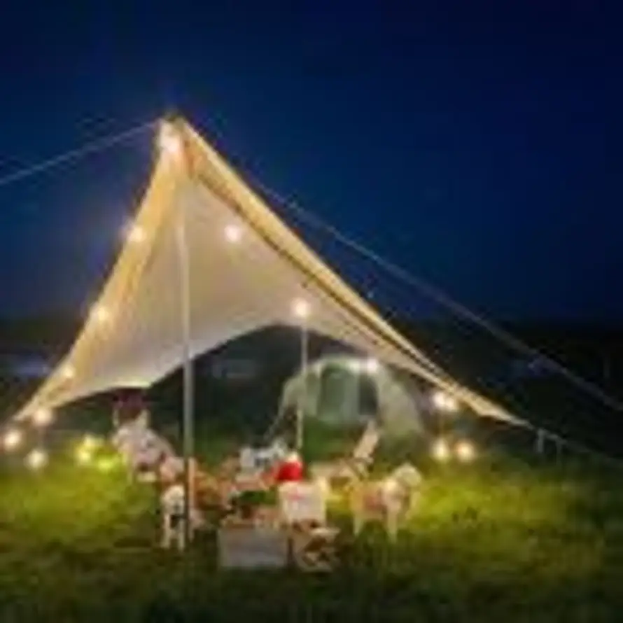 🐶CeCe💎的头像