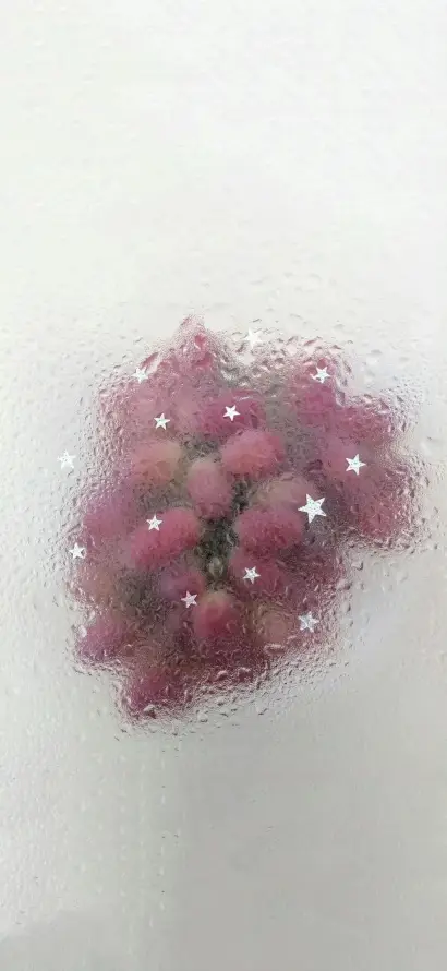 4k提子壁纸 - 星光 - 朦胧 - 植物「哲风壁纸」