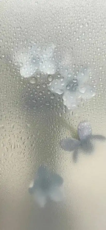 4k朦胧壁纸 - 柔和 - 简约 - 自然「哲风壁纸」