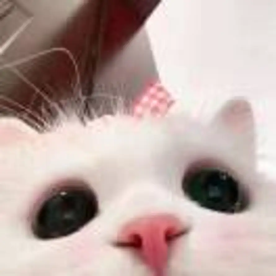 IF YOU.yu的头像