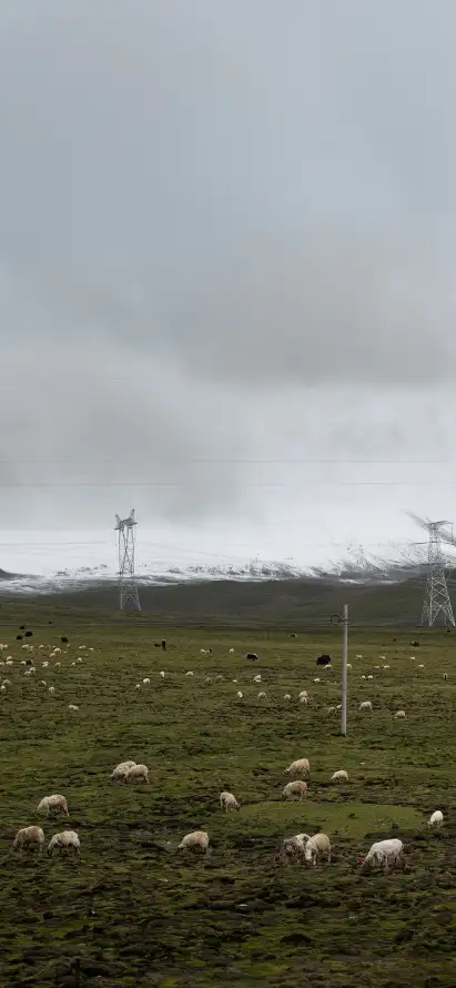 4k放牧壁纸 - 牧场 - 羊群 - 草原「哲风壁纸」