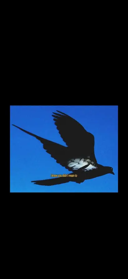 4k蓝天壁纸 - 蓝色 - 长尾 - 飞行「哲风壁纸」