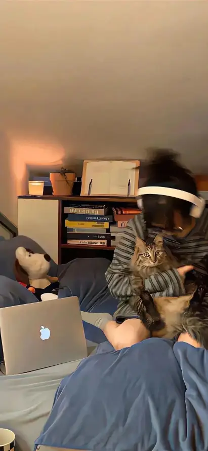 4k书架壁纸 - 休闲 - 室内 - 小猫「哲风壁纸」