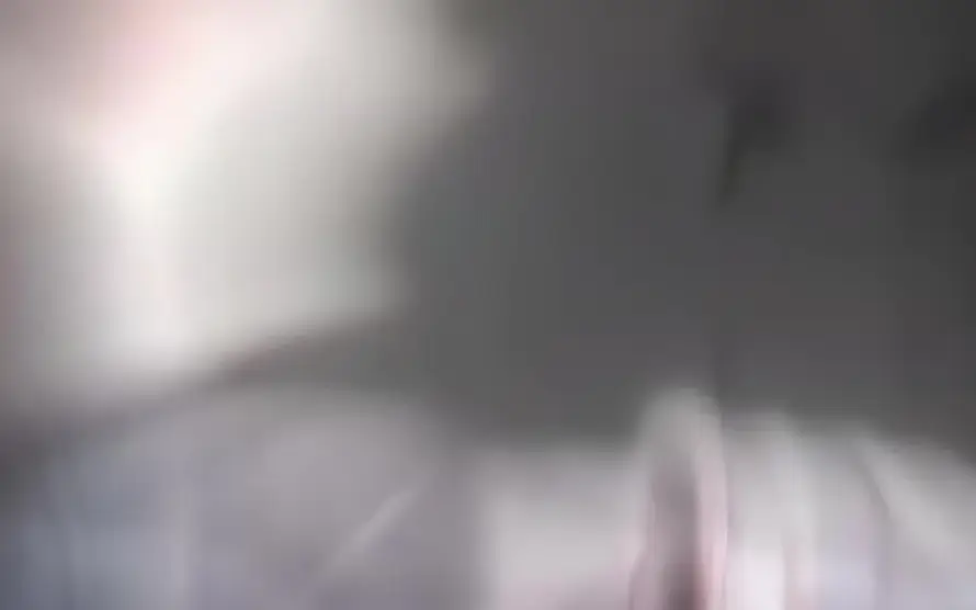 最喜欢的图像
