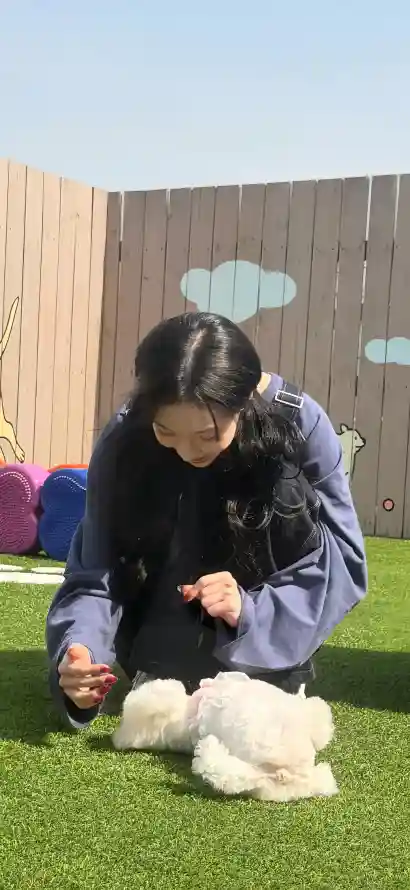 4k金玟庭壁纸 - 韩国爱豆 - 热门壁纸 - wallpaper「哲风壁纸」