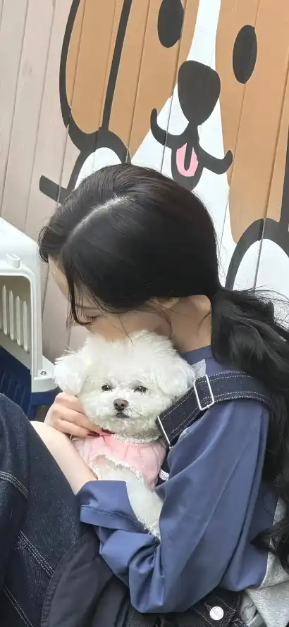 4k金玟庭壁纸 - 韩国爱豆 - 热门壁纸 - wallpaper「哲风壁纸」