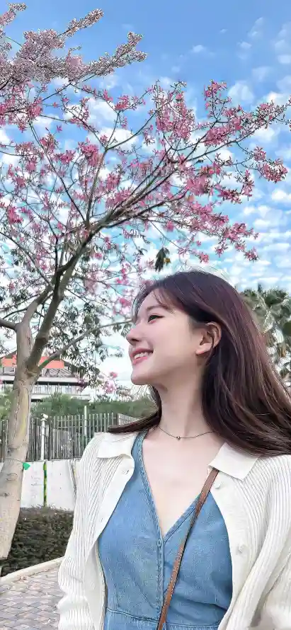 4k户外壁纸 - 春季 - 樱花 - 甜妹「哲风壁纸」