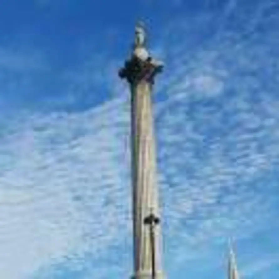 Gamu的头像