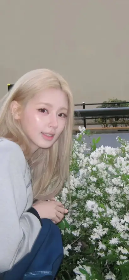 4k户外壁纸 - 清新 - 韩系 - 浅金发「哲风壁纸」