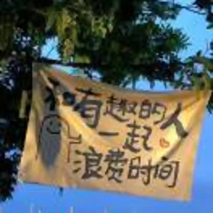 LL的头像