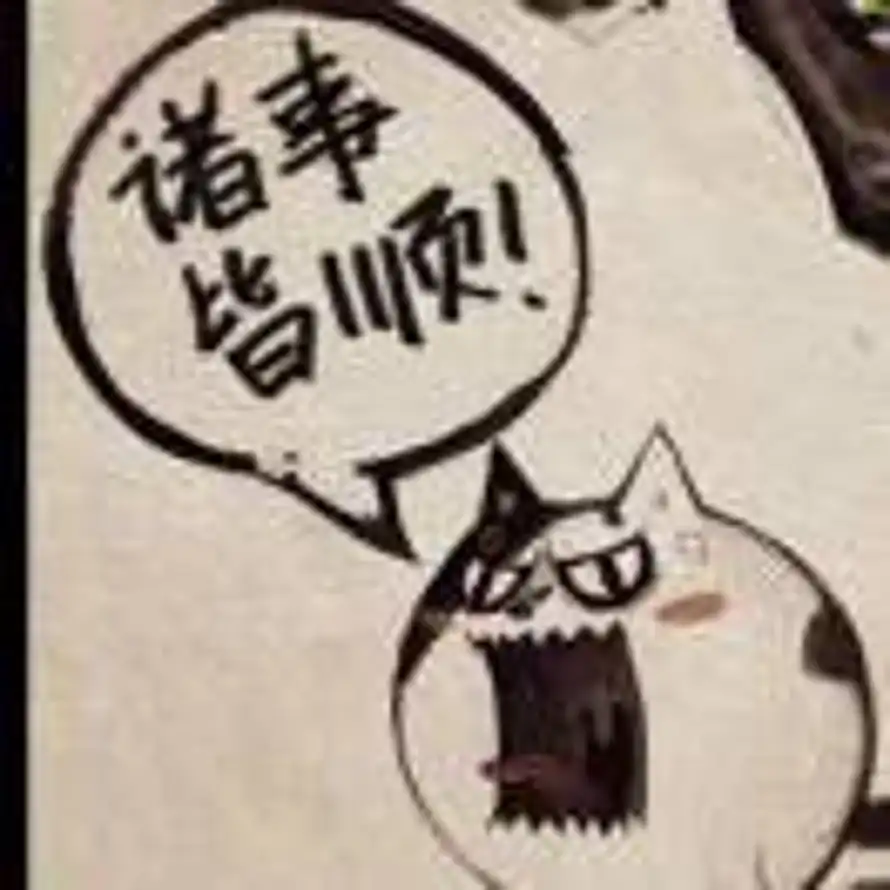 momo的头像