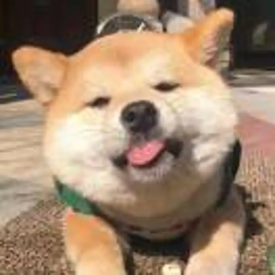 .的头像