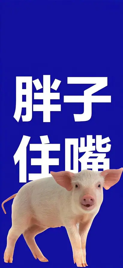4k减肥壁纸 - 励志 - 小猪 - 文字「哲风壁纸」
