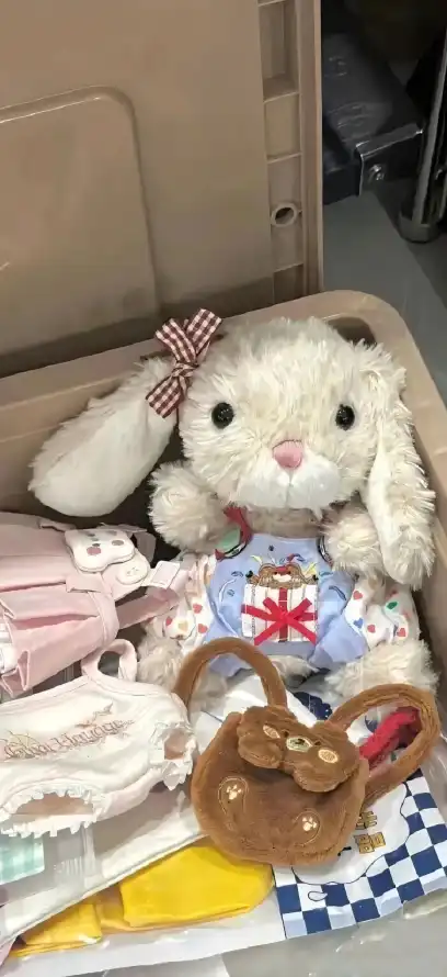 4k箱子壁纸 - 垂耳兔 - 折叠衣物 - 棕色包包「哲风壁纸」