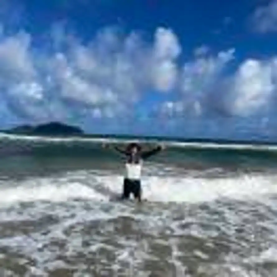 qyqy的头像