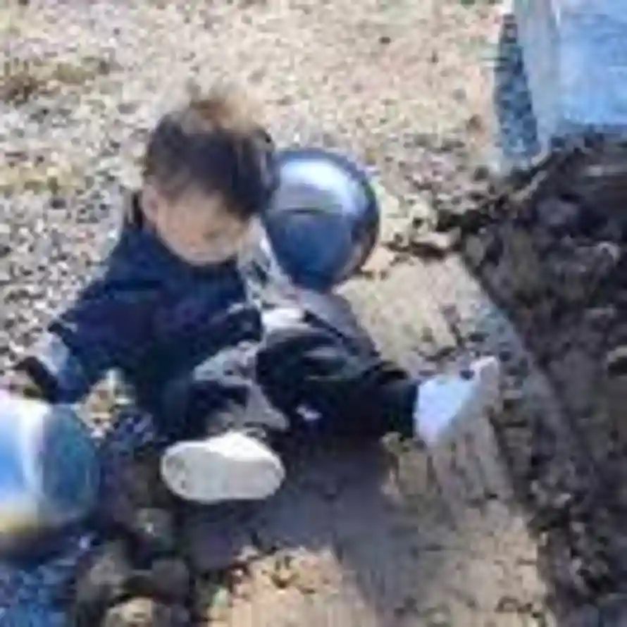 王👑 哪跑的头像