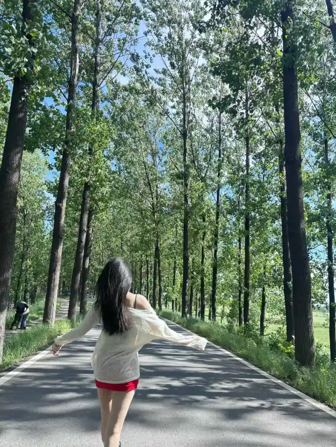 4k休闲壁纸 - 公路 - 少女 - 户外「哲风壁纸」