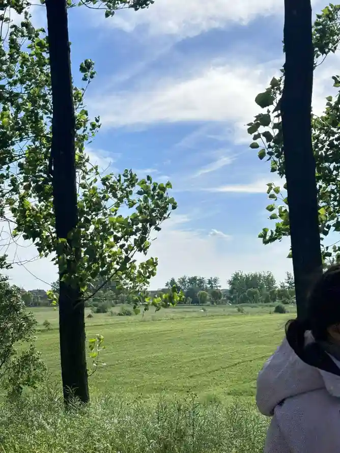 主题背景图片