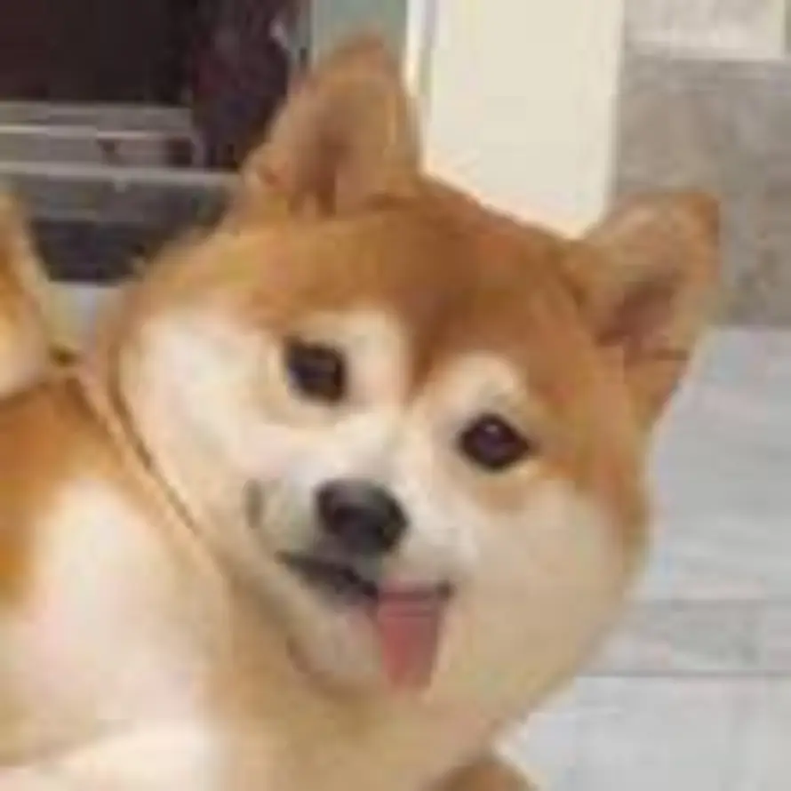 xixi的头像