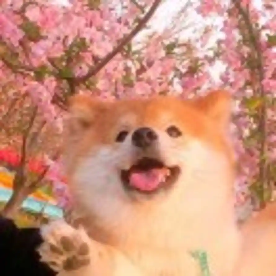 ぃ九月不语的头像