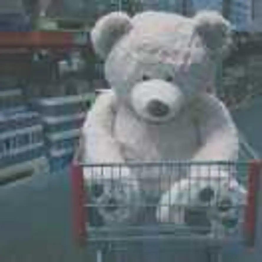 🐻的头像