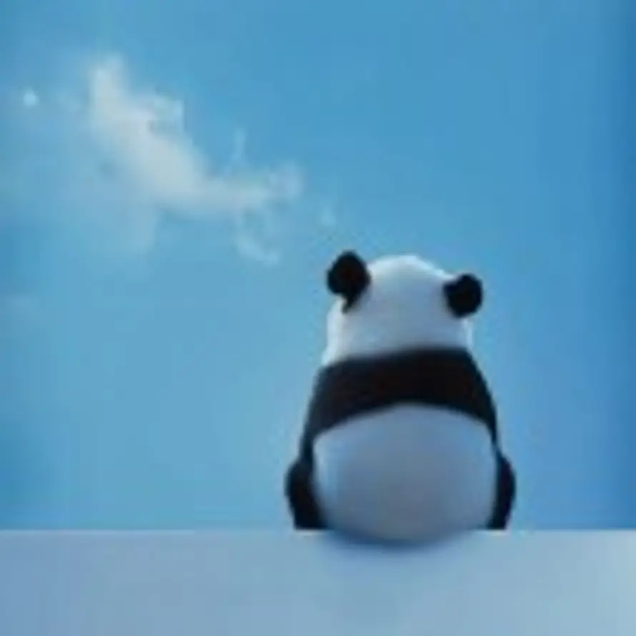 努力曹先生²⁰²⁶的头像