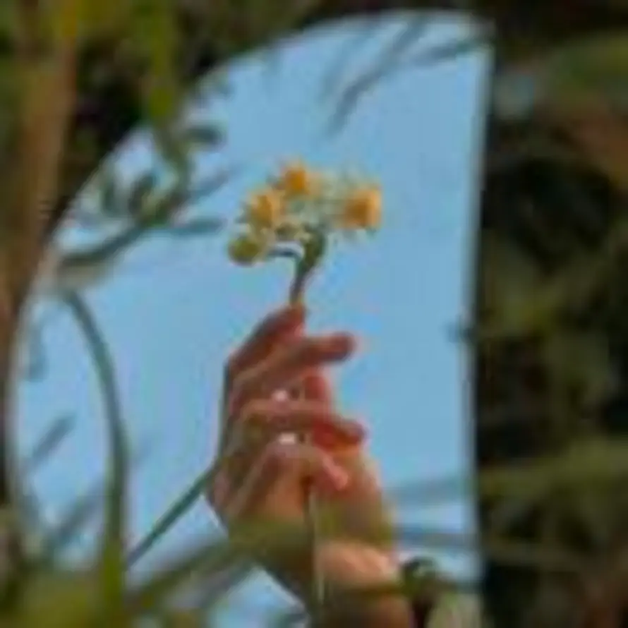 rose的头像