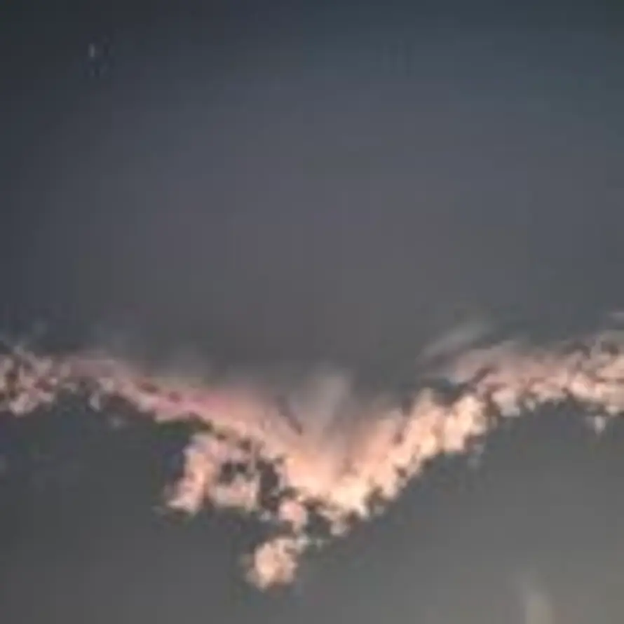摸鱼水太浅的头像