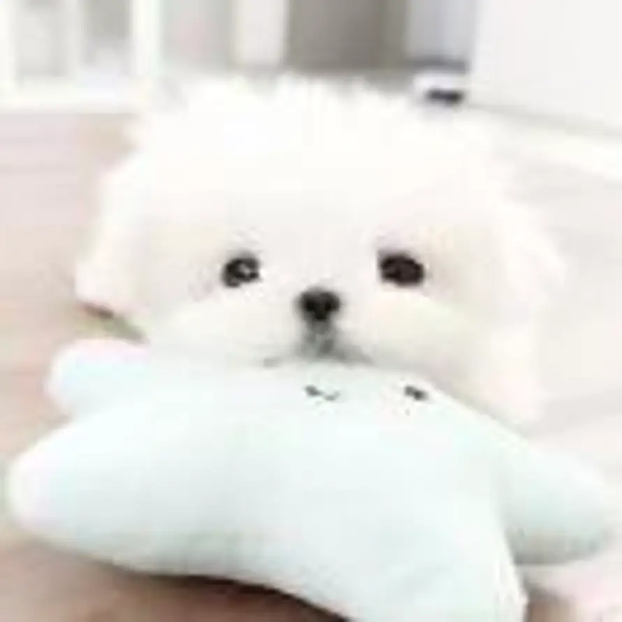  的头像