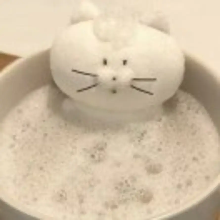 y的头像