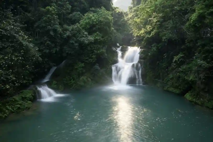 4k山林壁纸 - 森林 - 水潭 - 流水「哲风壁纸」