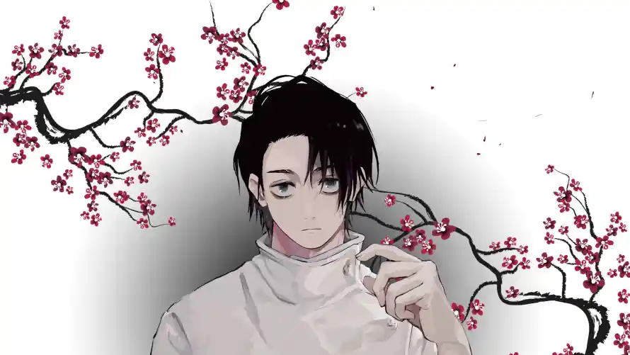 最喜欢的图像