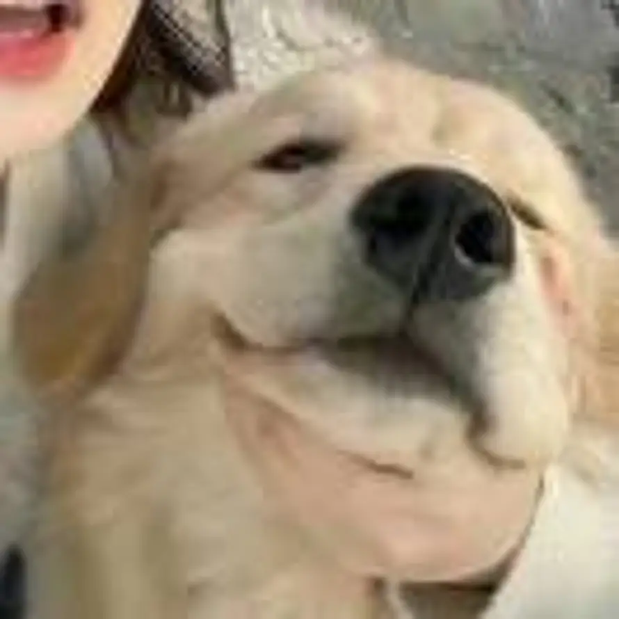 Lin的头像