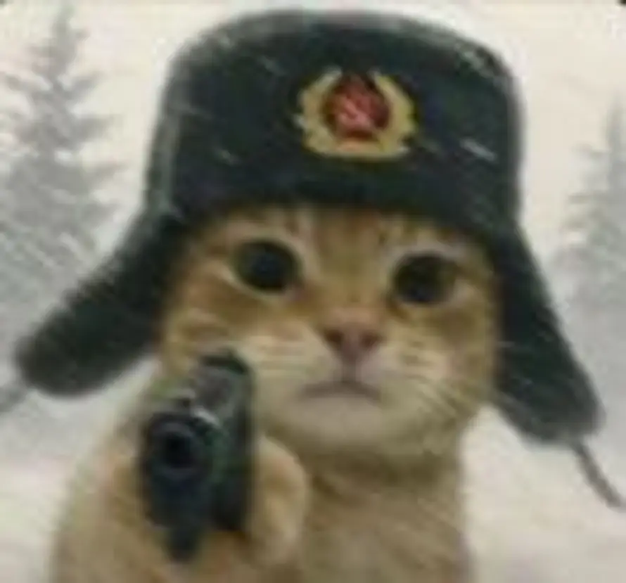L的头像