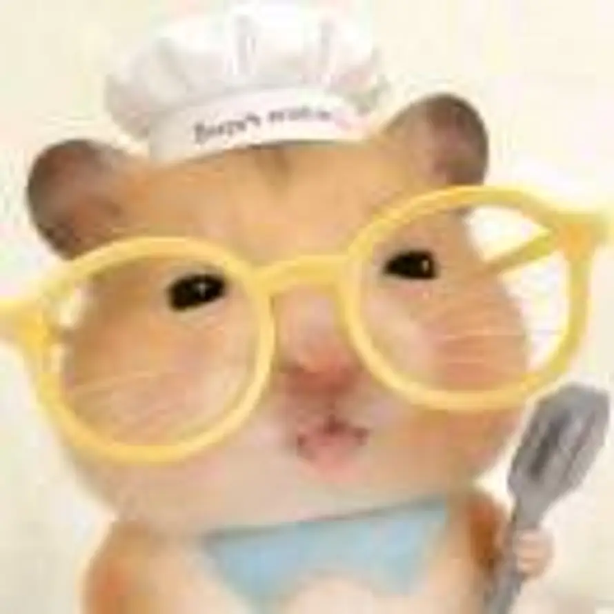用户碎碎念的头像