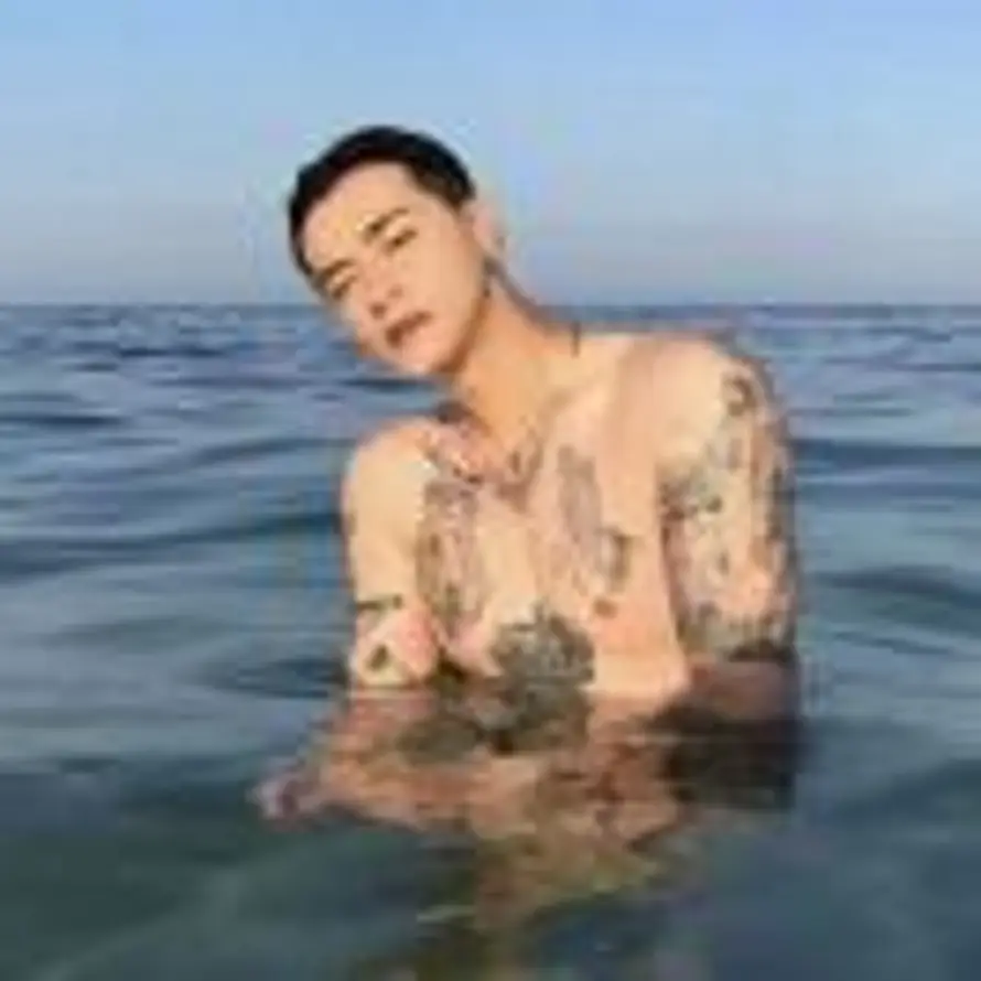 X的用户头像 - 哲风壁纸